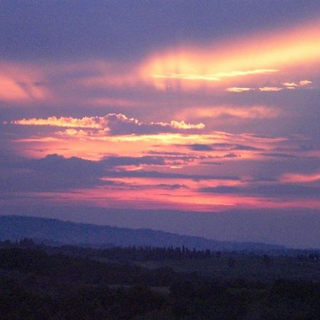 Agriturismo Il Girasole San Gimignano Ngoại thất bức ảnh